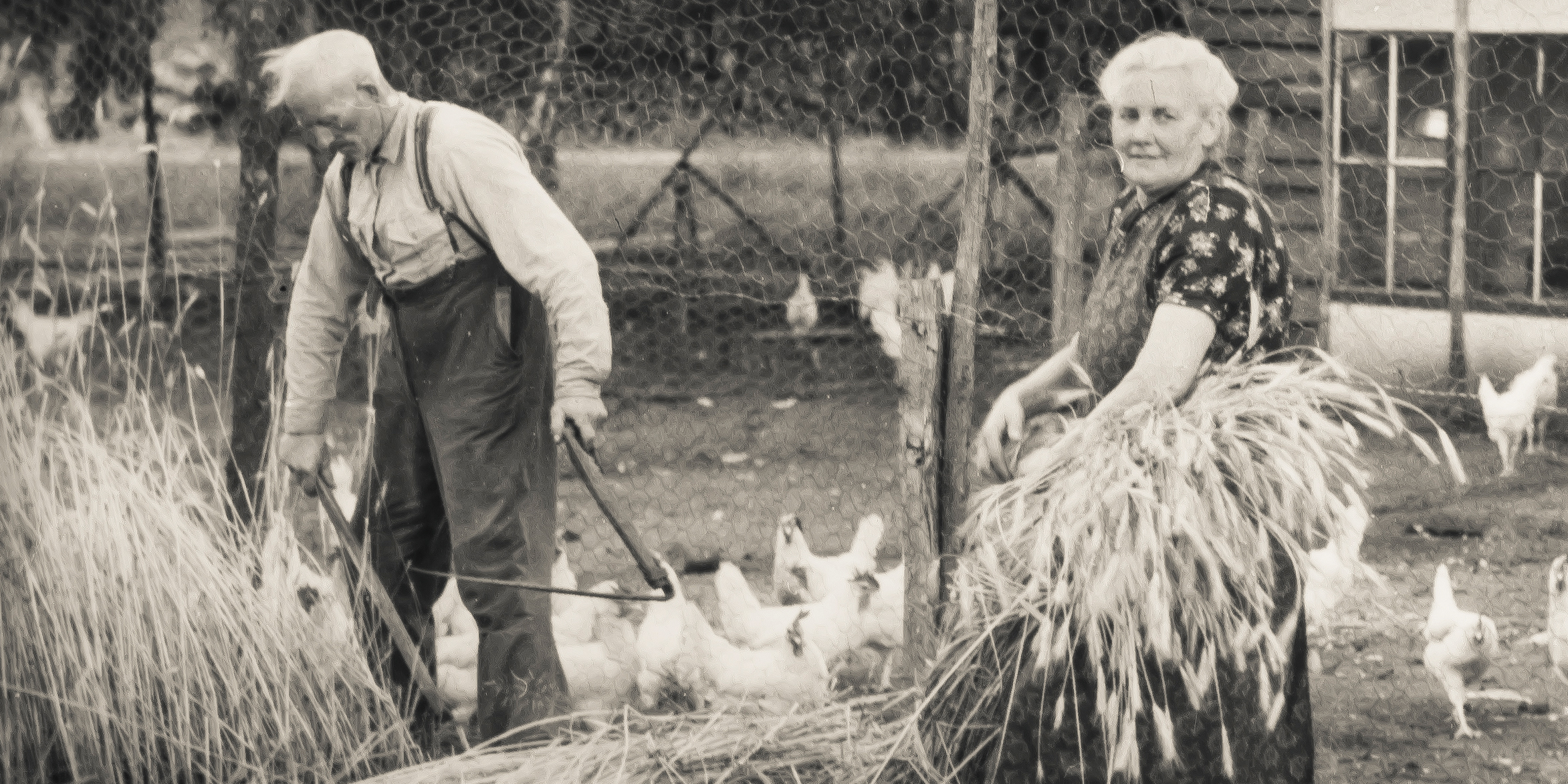 zwat wit foto van boer en boerin met kippen en een zeis
