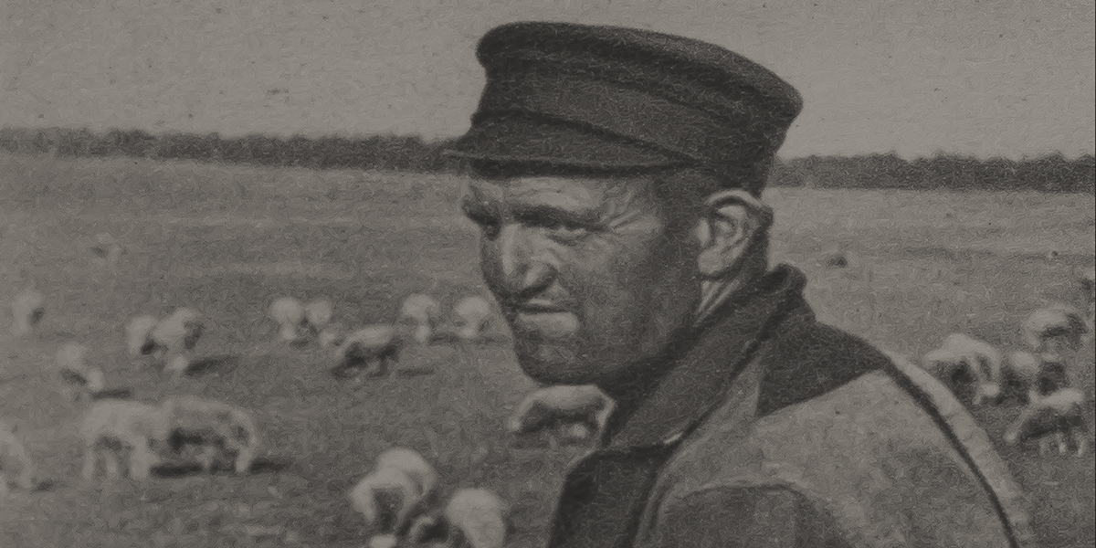 Schapen en herder, Historisch Museum Elspeet